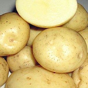 Картофель Бриз