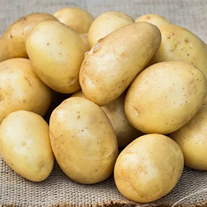 Сортовой картофель