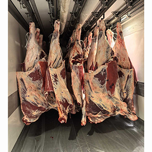 Перевозка охлажденного мяса на крюках