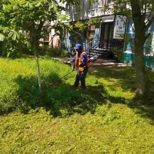 Обкос придомовых территорий частного сектора