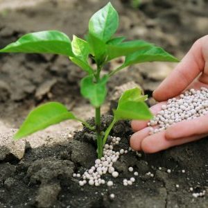 Удобрения для обогащения почвы