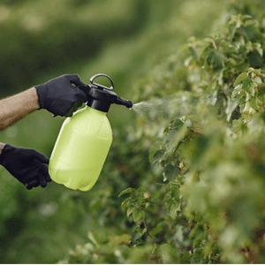 Обработка культур от вредителей