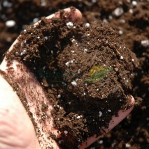 Снижение кислотности почвы