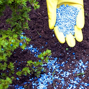 Внесение в почву удобрений