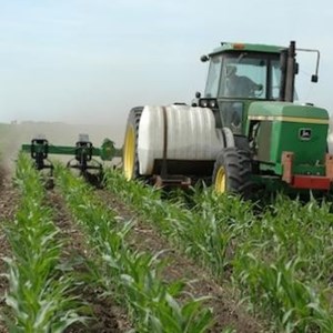 Борьба с болезнями растений