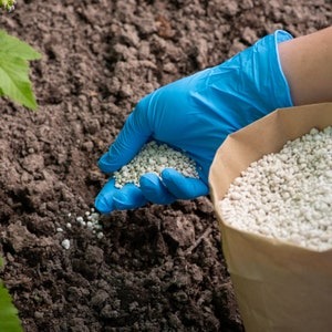 Подкормка растений
