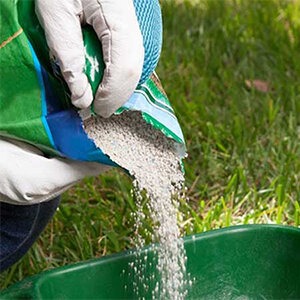 Стимуляторы роста растений