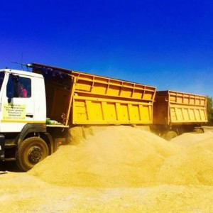 Перевозка грузов автотранспортом