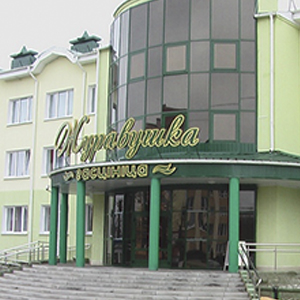 Гостиница Журавушка