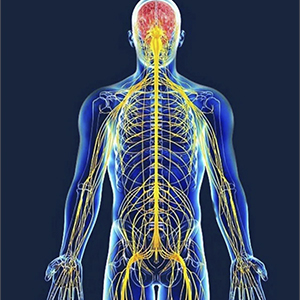 Болезни нервной системы