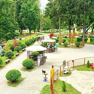 Городские насаждения