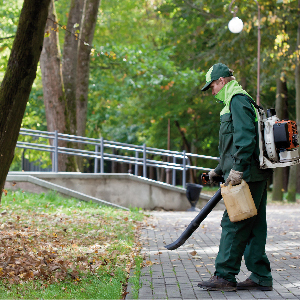 Уборка и санитарная очистка