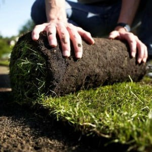 Устройство газона