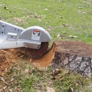 Валка деревьев и корчёвка пней