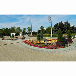 Уход и содержание городских зелёных насаждений