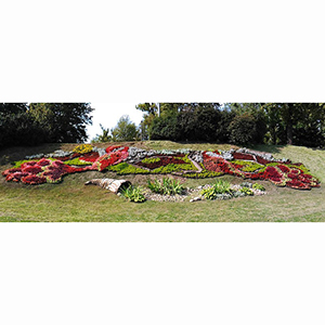 Устройство цветника