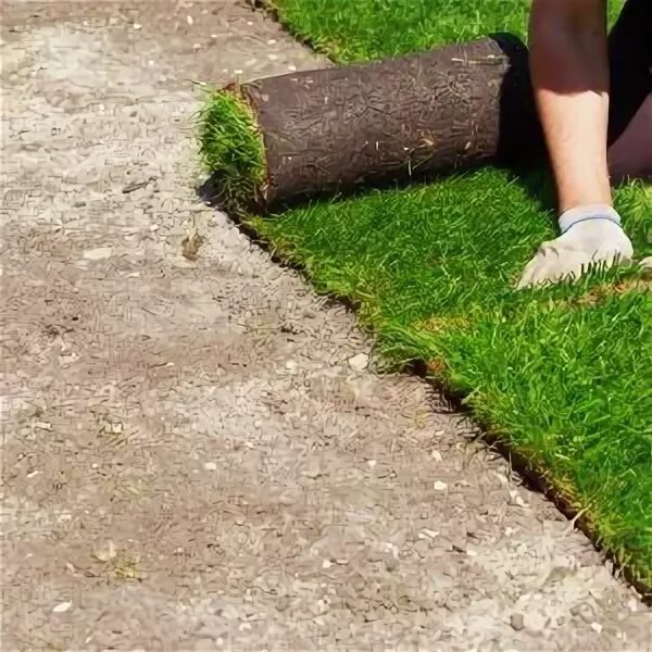 Подготовка территории к озеленению