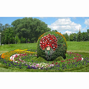 Создание газонов и цветочных клумб