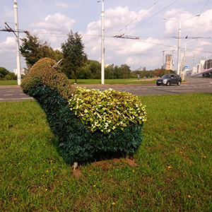 Ландшафтный дизайн