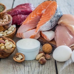 Животные белки