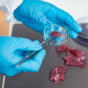 Испытания мяса и готовой продукции