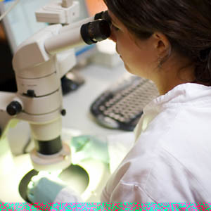 Проведение исследований под заказ предприятий