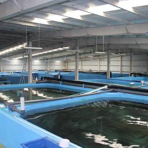Разработка рыбоводно-биологического обоснования