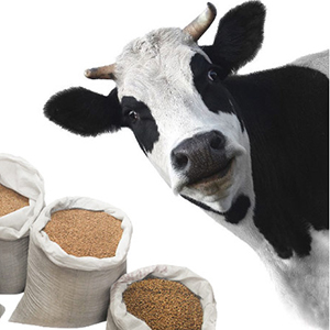 Кормовые добавки, премиксы для скотоводства