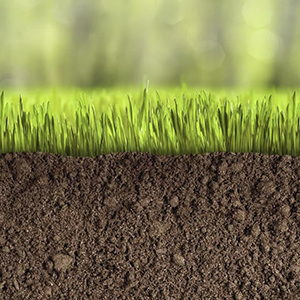 Агрохимические характеристики почв