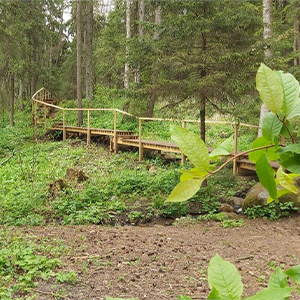 Экологическая тропа экскурсия