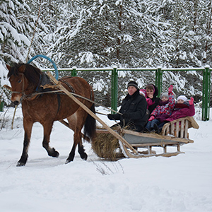 Туризм, организация экскурсий