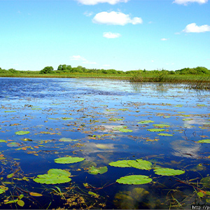Водный туризм
