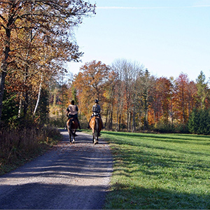 Экологические экскурсии