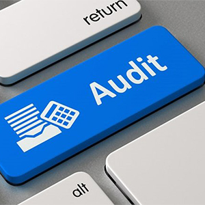 Аудиторские услуги