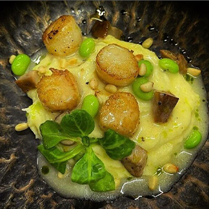 Морские гребешки с трюфельным пюре 