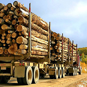 Экспорт деревянных заготовок