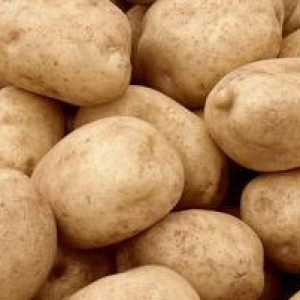 Реализация сортового картофеля