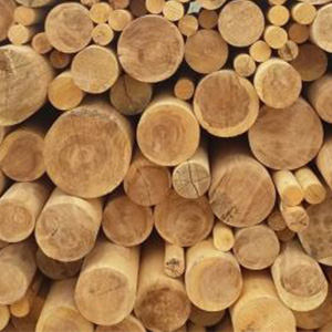 Деловая древесина