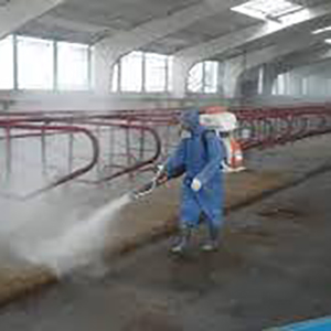 Ветеринарные, санитарные, профилактические мероприятия