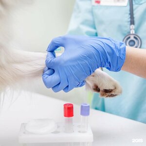 Услуги ветеринарной станции