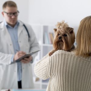 Ветеринарные консультации