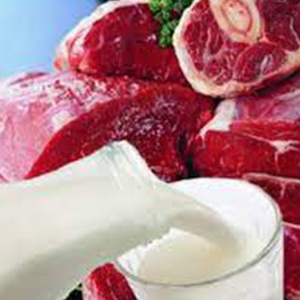 Мясо-молочная продукция