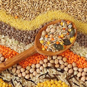 Зерновые и зернобобовые культуры