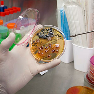 Бактериологические исследования