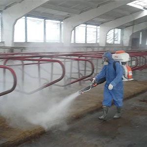 Дезинфекция, дезинсекция, дератизация и побелка животноводческих помещений