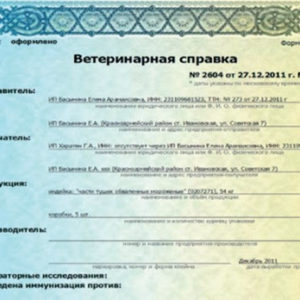 Выдача ветеринарного сертификата