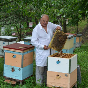 Выдача ветеринарно-санитарного паспорта пасеки