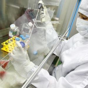 Вирусологические исследования