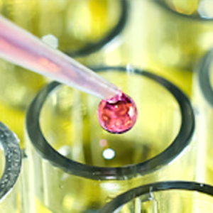 Паразитарные исследования