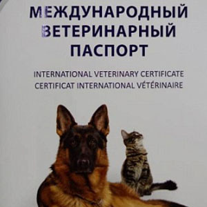 Выдача ветеринарного паспорта животного